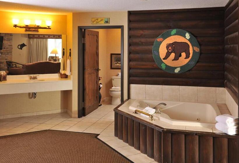 جناح مزود بجاكوزى, Stoney Creek Hotel La Crosse   Onalaska