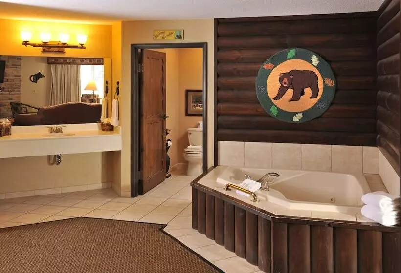 ハイドロマッサージバス付きスイート, Stoney Creek Hotel La Crosse   Onalaska