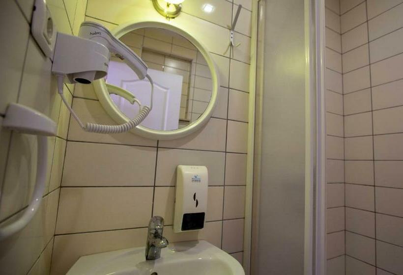 اتاق استاندارد یک تخته با بالکن, Pansion Boris