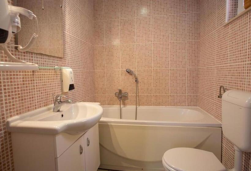 اتاق خانوادگی, Pansion Boris