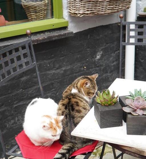 Студио Стандарт Кровать Кинг, Chambres D'hôtes Le Carillon