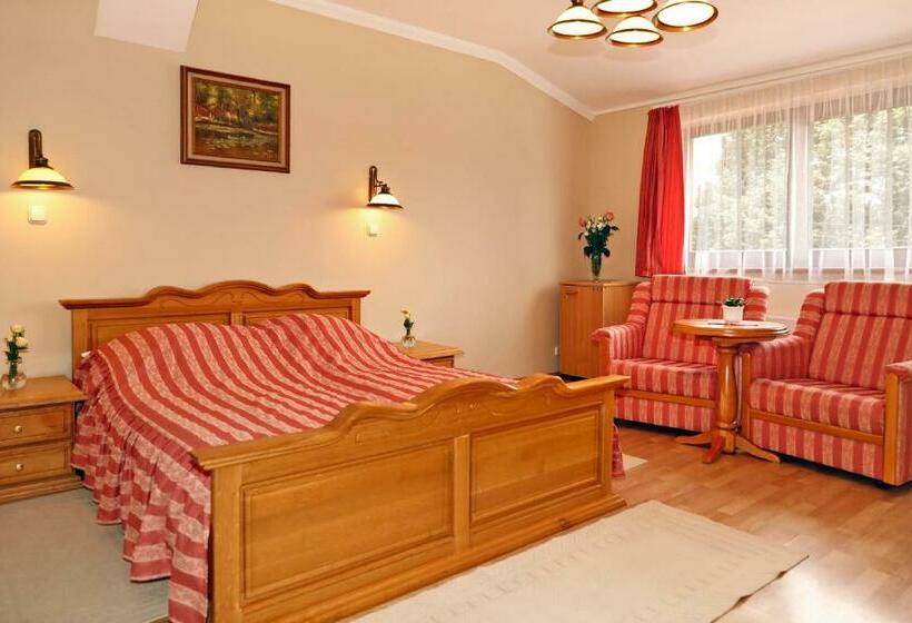 غرفة قياسية, Oportó Panzió