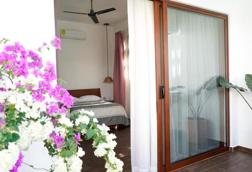 اتاق استاندارد, Casa Beu
