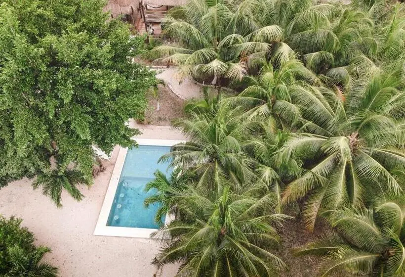 デラックスルーム, Royal Palm Bacalar Cabañas & Lagoon Club