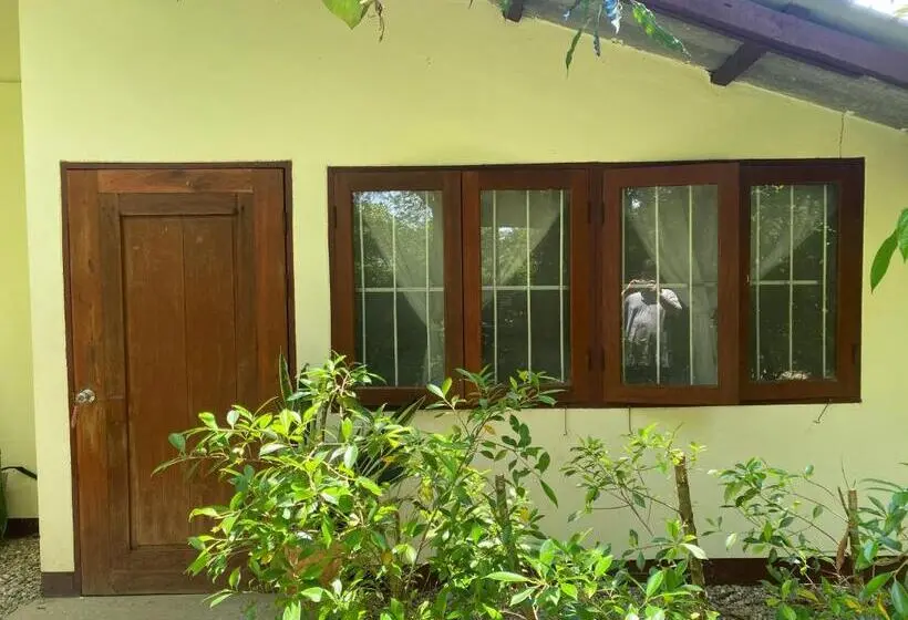 اتاق استاندارد, Brown House Chiangdao