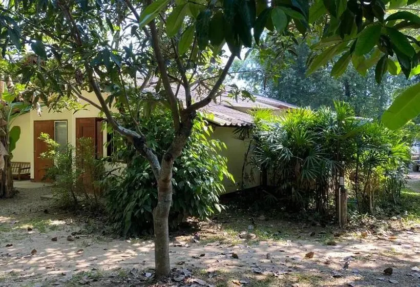 اتاق استاندارد, Brown House Chiangdao