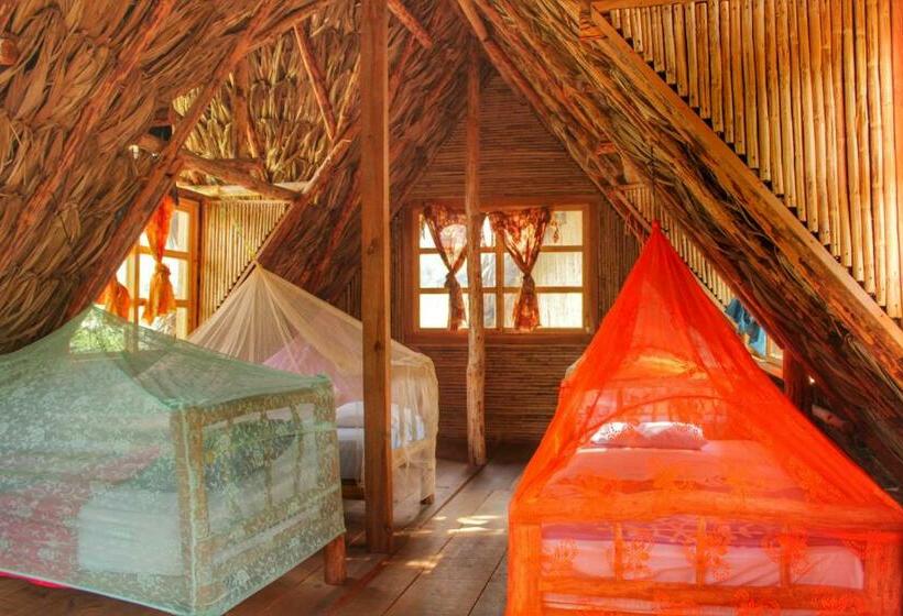 تختخواب در اتاق مشترک, Vista Verde Lodge