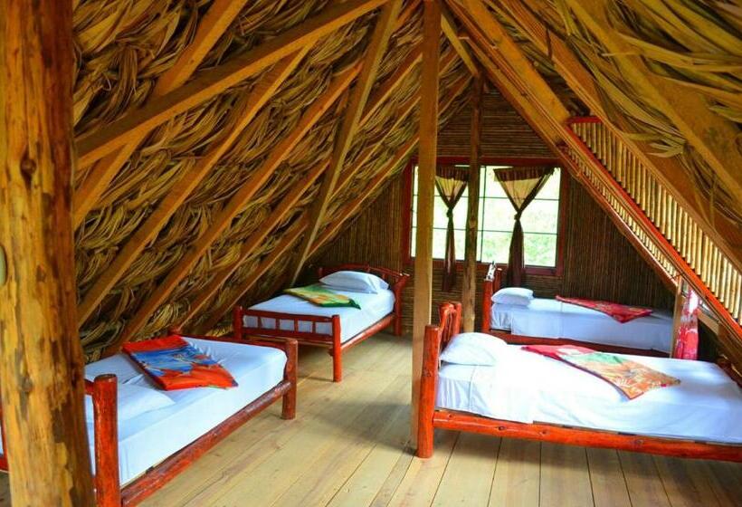 تختخواب در اتاق مشترک, Vista Verde Lodge