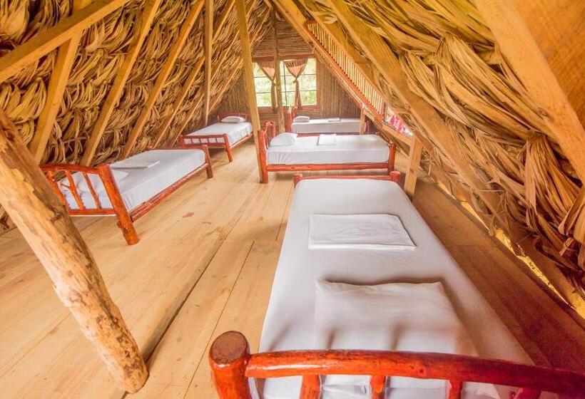 تختخواب در اتاق مشترک, Vista Verde Lodge