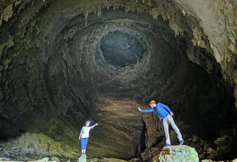 اتاق لوکس, Golden Forest Homestay