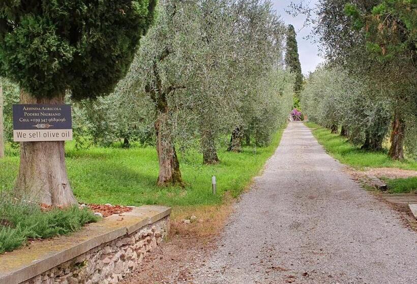 חדר סטנדרט נוף לאגם, Agriturismo Podere Nigriano