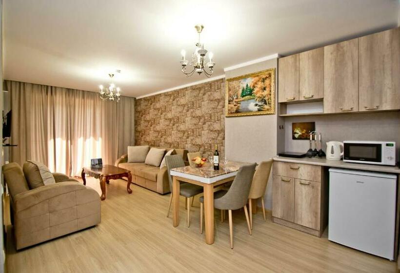 آپارتمان 1 خوابه با چشم‌انداز, Orbi Bakuriani Apartment 731