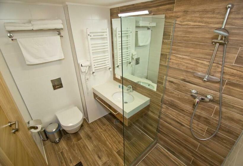 آپارتمان 1 خوابه با چشم‌انداز, Orbi Bakuriani Apartment 731