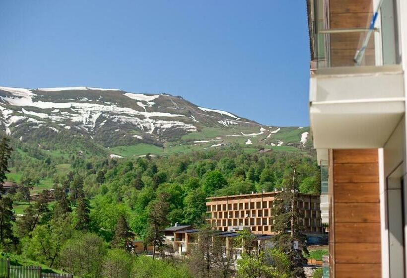 آپارتمان 1 خوابه با چشم‌انداز, Orbi Bakuriani Apartment 731