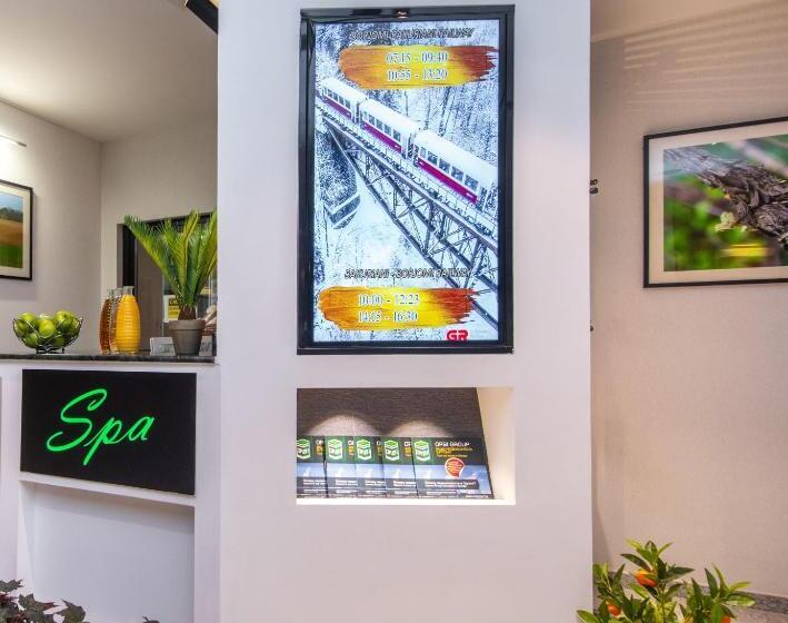 آپارتمان 1 خوابه با چشم‌انداز, Orbi Bakuriani Apartment 731