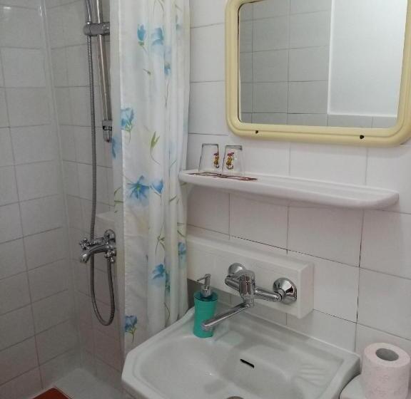 ベーシックルーム, Pensiunea Sebastian