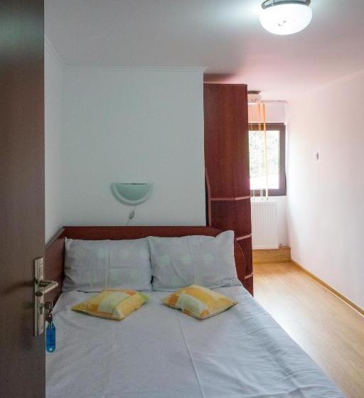 ベーシックルーム, Pensiunea Sebastian