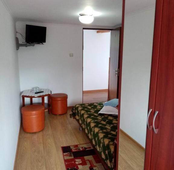 ベーシックルーム, Pensiunea Sebastian