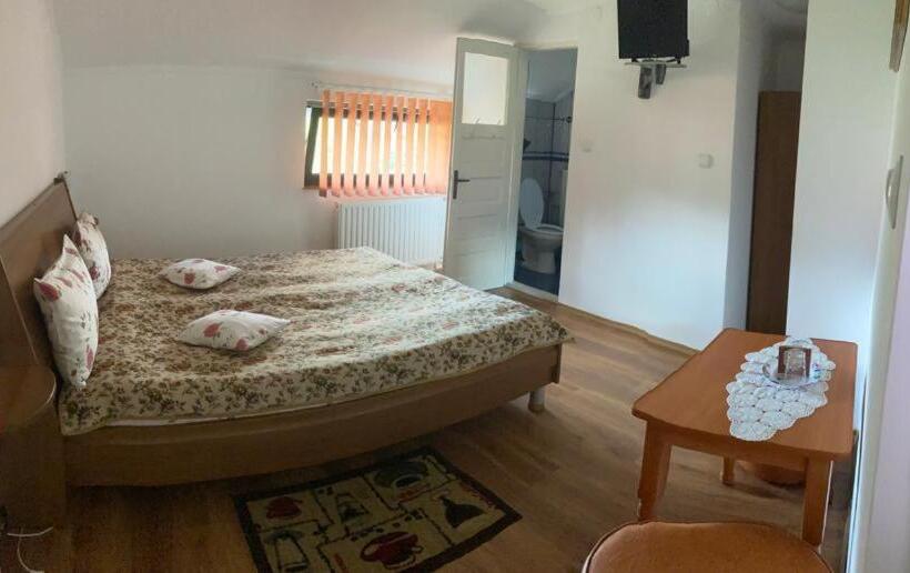 スタンダードルーム, Pensiunea Sebastian