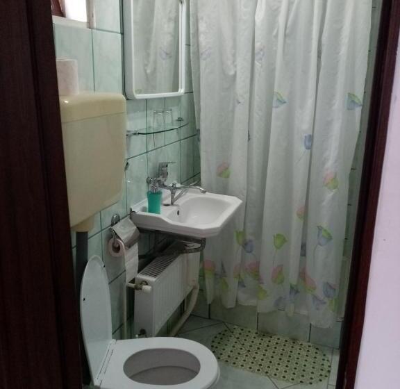 2ベッドルームアパートメント, Pensiunea Sebastian