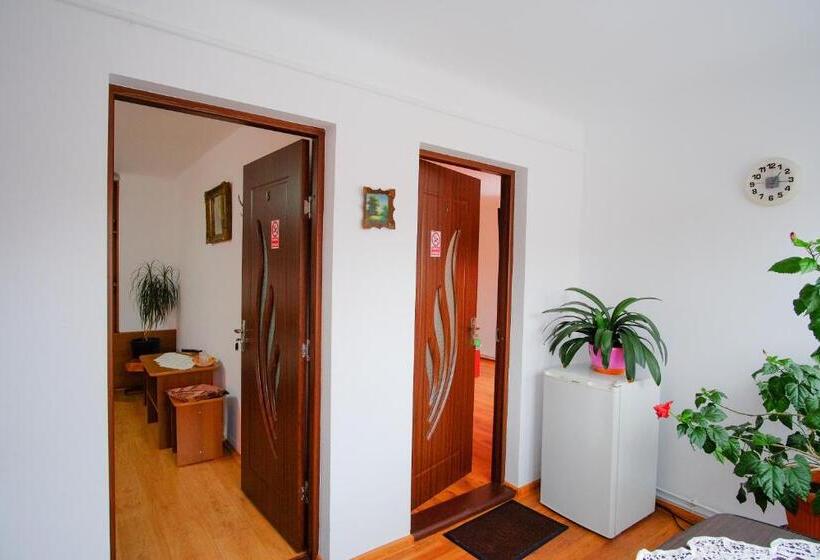 2ベッドルームアパートメント, Pensiunea Sebastian