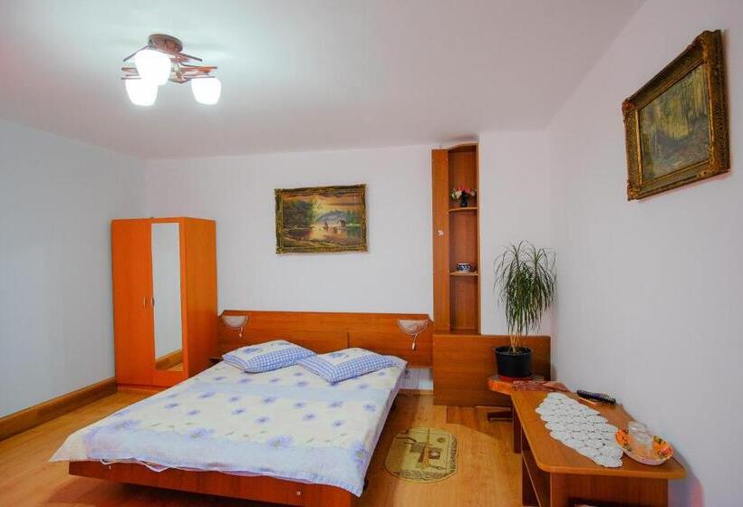 2ベッドルームアパートメント, Pensiunea Sebastian