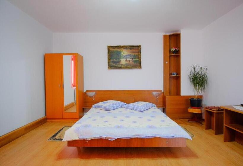 2ベッドルームアパートメント, Pensiunea Sebastian