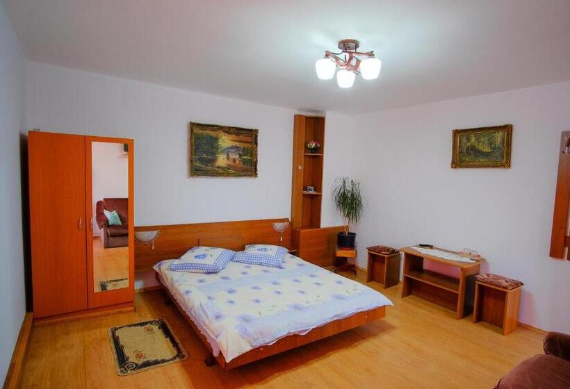 2ベッドルームアパートメント, Pensiunea Sebastian