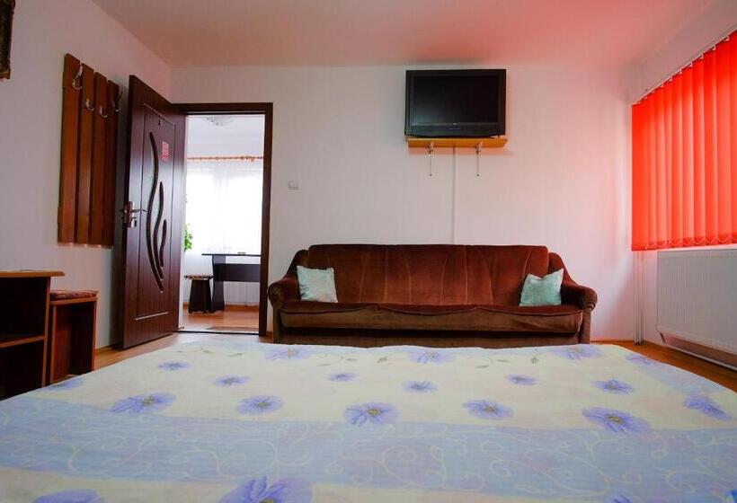 2ベッドルームアパートメント, Pensiunea Sebastian