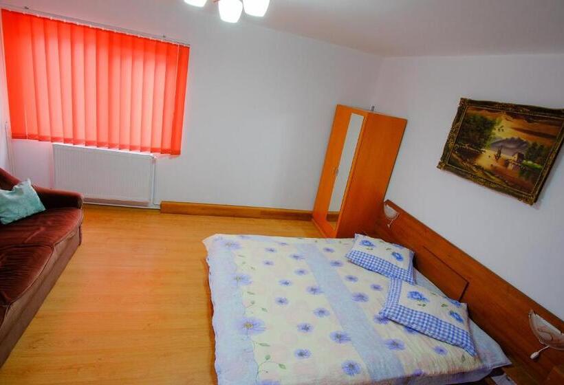 2ベッドルームアパートメント, Pensiunea Sebastian