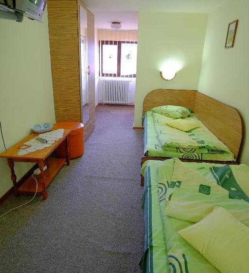 ビラホテル1ベッドルーム, Pensiunea Sebastian