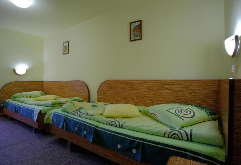 ビラホテル1ベッドルーム, Pensiunea Sebastian