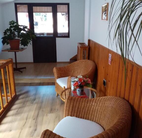 ビラホテル1ベッドルーム, Pensiunea Sebastian