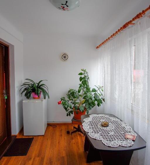 1ベッドルームアパートメント, Pensiunea Sebastian