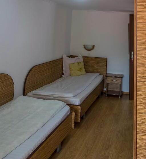 ベーシックルーム, Pensiunea Sebastian