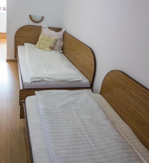 ベーシックルーム, Pensiunea Sebastian