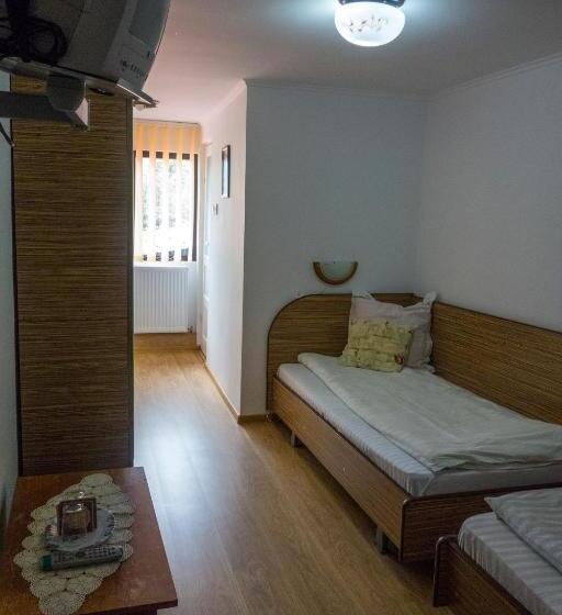 ベーシックルーム, Pensiunea Sebastian