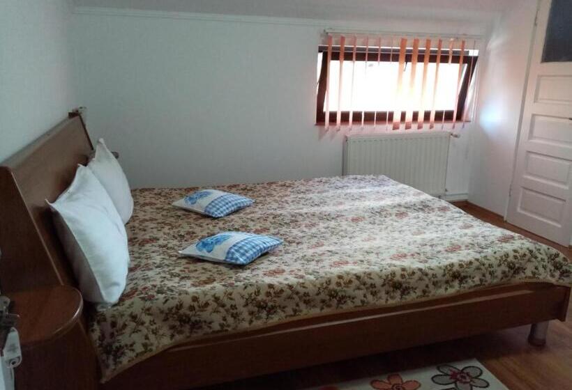 スタンダードルーム, Pensiunea Sebastian