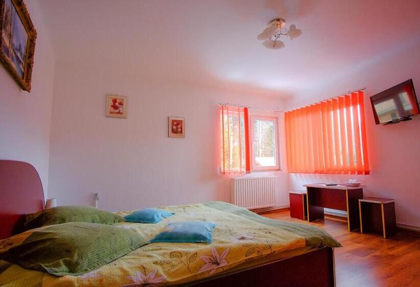 2ベッドルームアパートメント, Pensiunea Sebastian