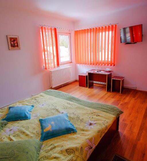 2ベッドルームアパートメント, Pensiunea Sebastian