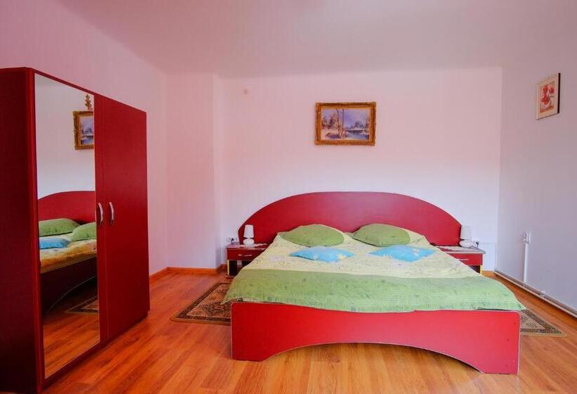 2ベッドルームアパートメント, Pensiunea Sebastian