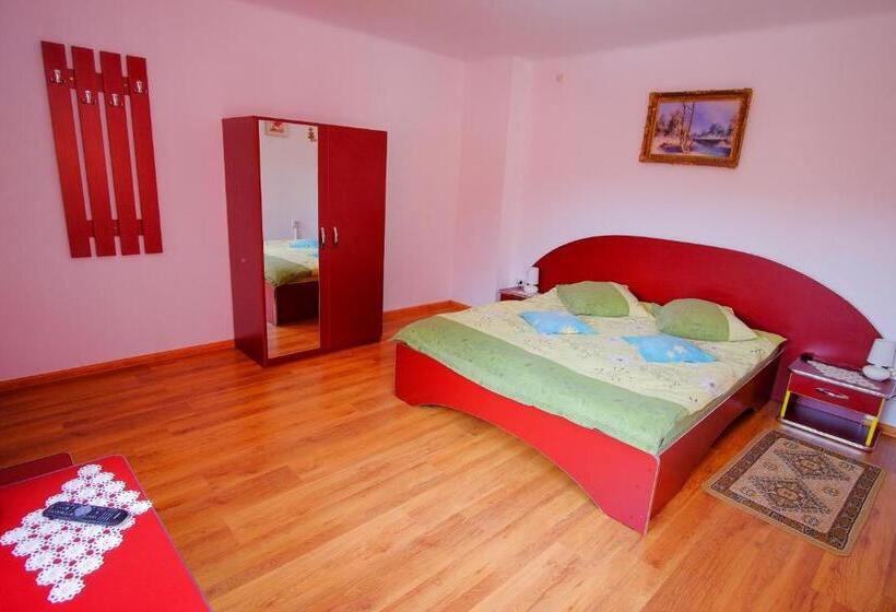 2ベッドルームアパートメント, Pensiunea Sebastian