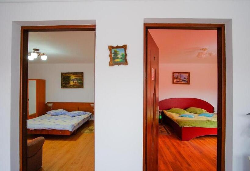 2ベッドルームアパートメント, Pensiunea Sebastian