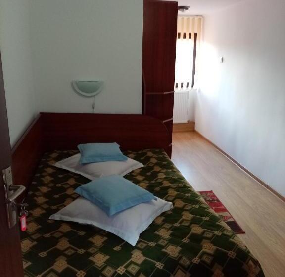 ビラホテル1ベッドルーム, Pensiunea Sebastian