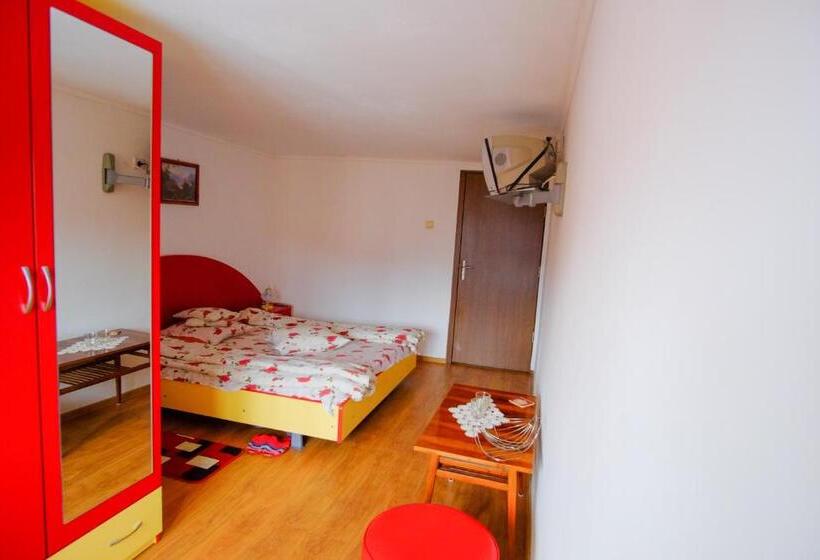 ビラホテル1ベッドルーム, Pensiunea Sebastian