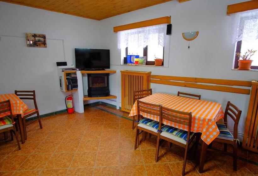 ビラホテル1ベッドルーム, Pensiunea Sebastian