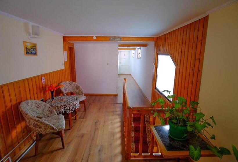 ビラホテル1ベッドルーム, Pensiunea Sebastian