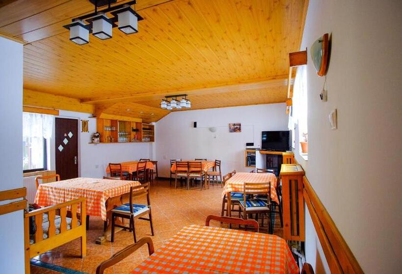 ビラホテル1ベッドルーム, Pensiunea Sebastian