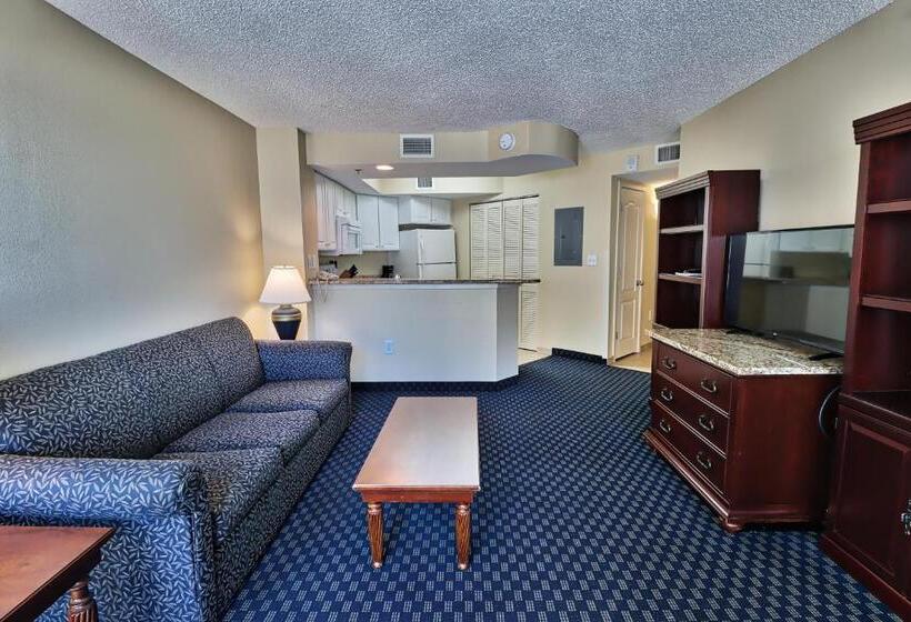 آپارتمان 1 خوابه با چشمانداز دریا, Suites At The Beach