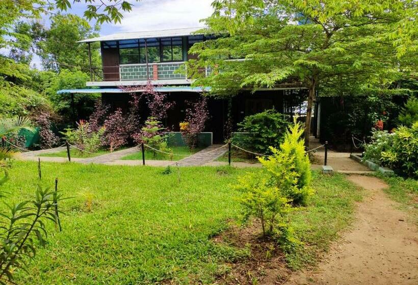 豪华房间, Green Hills Farm And Guest House